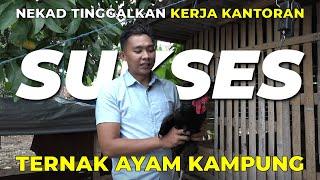 Sukses di Usia Muda dgn Ternak Ayam Kampung dari Amatir Kini jadi Mahir ‼️