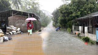 Heavy Rain Accompanied By Lightning in My Village in indonesia Rain Walk ASMR