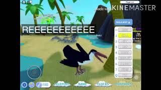 ROBLOX feather family pelagornis showcase