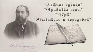 Н. А. Лейкин Летние сценки Прививка оспы Чёрт. Обыватель и городовой рассказы аудиокниги