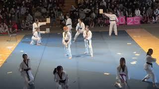 Taekwondo Club Performs At Last Rally