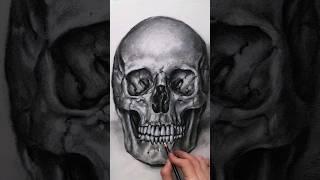 ASMR Drawing a Human Skull with charcoal #asmr #asmrnotalking #asmrdrawing #art