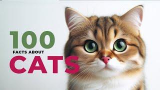 100 Purr-fectly Fun Facts About Cats   DJC Kids