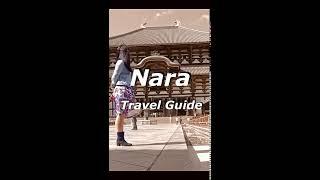 Why You Shouldnt Go to Nara in Japan