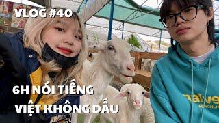 VLOG #40 6H NÓI TIẾNG VIỆT KHÔNG DẤU  duongfynn