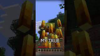 Minecraft but Im a Blaze...