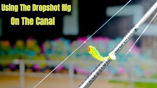 Lure Fishing With A Dropshot Rig