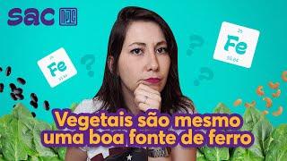 Como é feito o leite sem lactose?