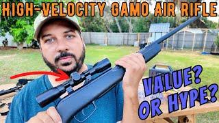 Gamo Varmint Air Rifle Review Precision Power and Performance for Every Shooter