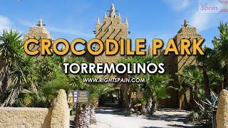 Crocodile Park Torremolinos Spain 2016