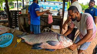 Live 30Kg Big Catla Fish Cutting Skill in Sri Lanka Village Fish Market