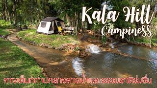 ลานกางเต็นท์อารมณ์เทพนิยายท่ามกลางธรรมชาติ  Kala Hill Campiness  พาลูกเที่ยว  ASMR