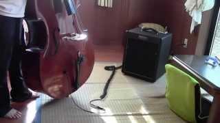 Demonstrating acoustic pickup MSP  doublebasscontrabass with MSP vs David Gage SOUNDCLIP