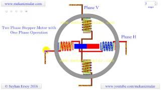 two phase stepper motor with one phase operation