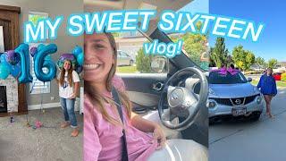 MY SWEET 16 PARTY VLOG 🩵🩵 pool party