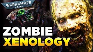 40K - ZOMBIE FORMS -XENOLOGY  Warhammer 40000 Lore History