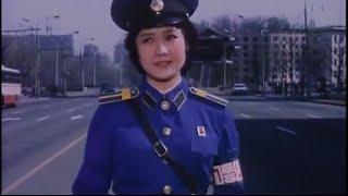 A Traffic Controller on Crossroads North Korea