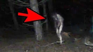 5 Mysterious Creatures Caught On Camera  Top 5 STRANGE Creatures