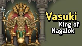 Vasuki - King of Nagalok   ARTHA  AMAZING FACTS