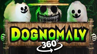 360° VR - DOGNOMALY