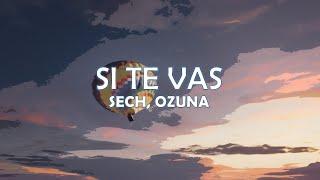 Si Te Vas - Sech Ft. OzunaLetra