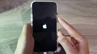 How to Enter Recovery Mode on iPhone 11  iPhone 11 Pro