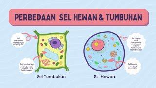 Organel Struktur dan Fungsi Sel Hewan dan Sel Tumbuhan