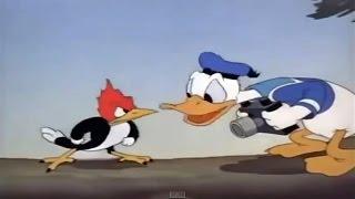 Dibujos Animados en Español Completos - Donald Duck cartoons