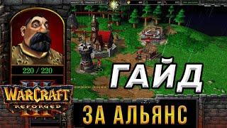 Гайд За Альянс для НОВИЧКОВ - WarCraft 3Reforged - Как играть за АЛЬЯНС в ВАРКРАФТ 3