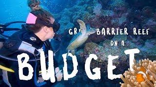 Great Barrier Reef on a BUDGET