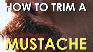 How to Trim Your Mustache  The Art of Manliness