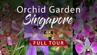 National Orchid Garden Singapore  Full Tour  4K