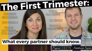 The First Trimester of Pregnancy What Every Partner Needs to Know  Symptoms Changes Baby Growth