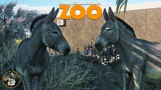 Opening an African Area in Franchise Mode  San Bernardino Zoo  Planet Zoo