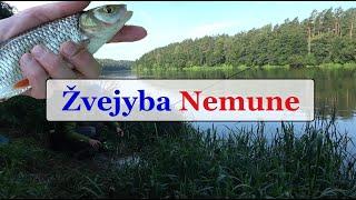 Žvejyba Nemune - Gabrielius Ser