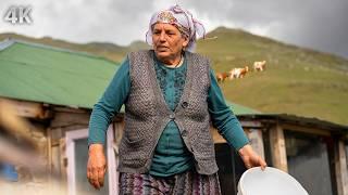 A Rainy Migration Day on the Plateau- Struggle in the High Mountains Documentary-4K