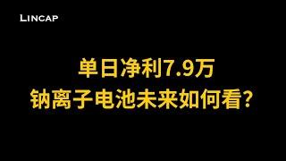 8月26日 华阳股份单日净利7.9万 钠离子电池未来如何看？  ｜ 新能源 A股 投资 财经 股票 股市