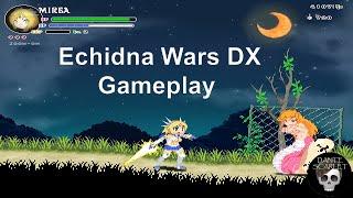 Echidna Wars DX