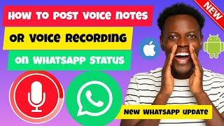 How To Post Voice Notes On WhatsApp Status  Post Voice Recording on WhatsApp Status