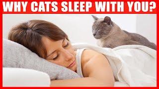 Why Does Your Cat Sleep With You? 6 Reasons Youll Love