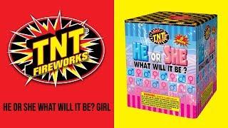 HE OR SHE WHAT WILL IT BE? GIRL - TNT Fireworks® Official Video