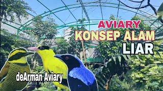 Kandang Burung Konsep Alam Liar  Aviary Besar di Yogyakarta  dearman Aviary