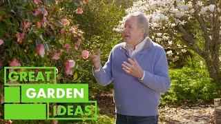 All About CAMELLIAS  GARDEN  Great Home Ideas