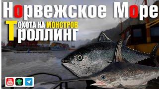 Троллинг • Охота на редкую рыбу • Русская Рыбалка 4 • Норвежское Море