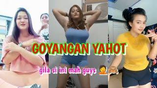 dj tiktok remix goyangan yang terhot di masa kini