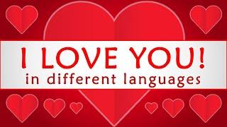 I LOVE YOU IN DIFFERENT LANGUAGES PART 1