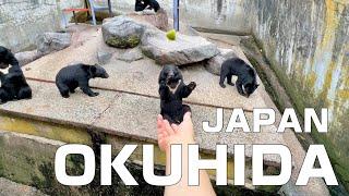 A trip to Okuhida in Japan where you can hold and feed bears（hot springs️and wagyu beeftoo）