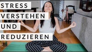 STRESS VERSTEHEN. Tipps zum Stress reduzieren endlich abnehmen. 30 Tage Challenge