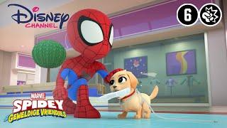 Spidey  Puppy Paniek  Disney Channel NL