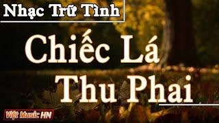 Chiếc Lá Thu Phai – Tình Khúc Hải Ngoại Bất Hủ Bao Chùm Nỗi Nhớ Thương  Nhạc Trữ Tình Xưa Hay Nhất